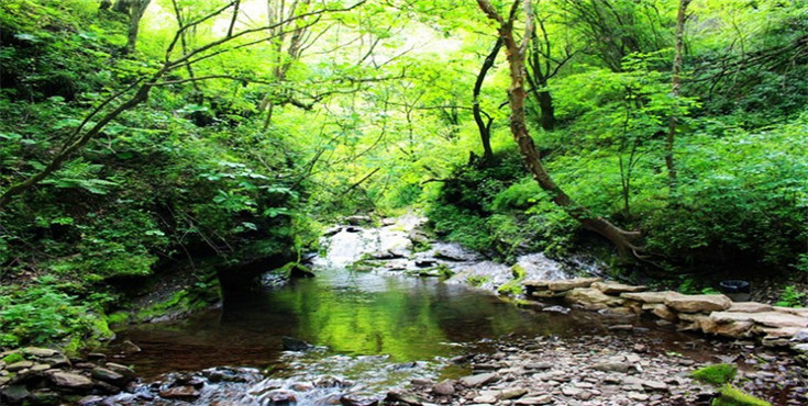 六盘山野荷谷景区