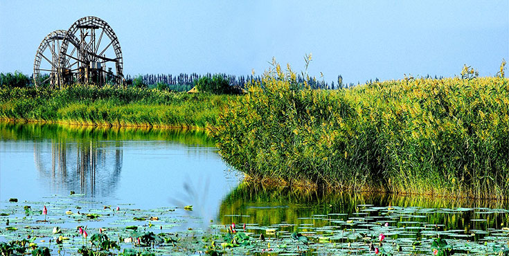 银川鸣翠湖国家湿地公园